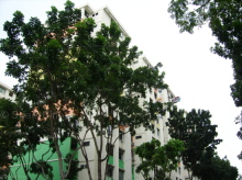 Blk 405 Sun Plaza Green (Tampines), HDB 3 Rooms #96412